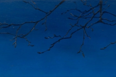 Winter BoughOil on board, 7"X18"