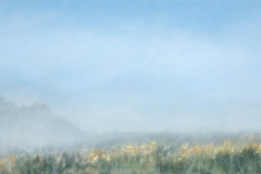 Field In Fog IV Oil on board, 23 x 41