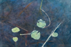 AfloatWatercolor & pastel on paper, 20X26"