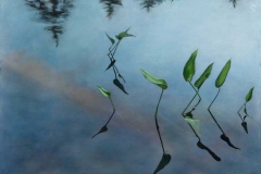Pickerel WeedWatercolor & pastel on paper, 20X26"