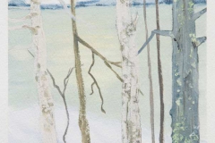 Through The Trees IOn paper, 5 1/2" X 7 1/2"