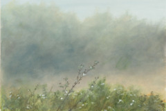Summer Fog, Watercolor & pastel on paper, 16X21"